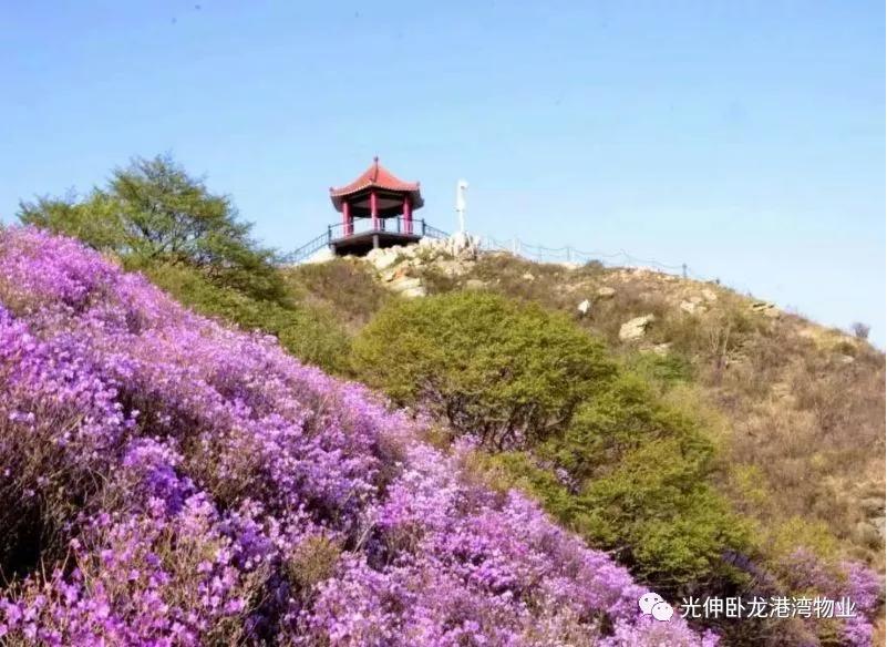 1066vip威尼斯(中国)有限公司-官方网站